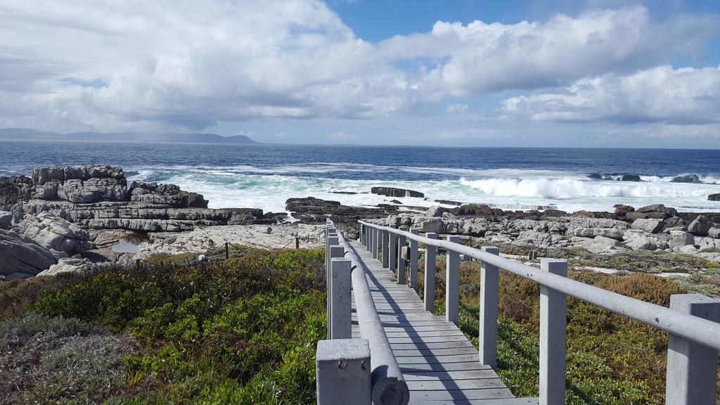 Whale View Self Catering Apartment Hermanus Zewnętrze zdjęcie